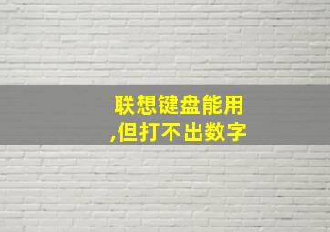 联想键盘能用,但打不出数字