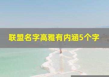 联盟名字高雅有内涵5个字