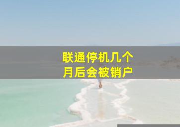 联通停机几个月后会被销户