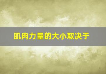 肌肉力量的大小取决于