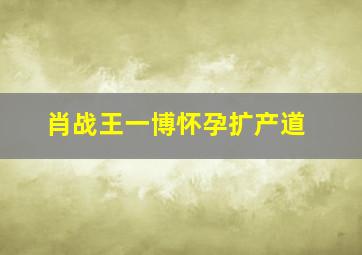 肖战王一博怀孕扩产道