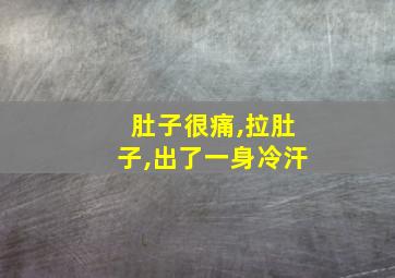 肚子很痛,拉肚子,出了一身冷汗