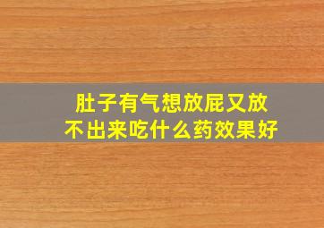 肚子有气想放屁又放不出来吃什么药效果好