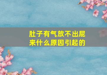 肚子有气放不出屁来什么原因引起的