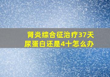 肾炎综合征治疗37天尿蛋白还是4十怎么办