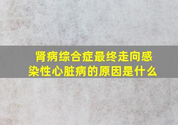 肾病综合症最终走向感染性心脏病的原因是什么