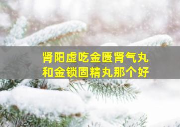 肾阳虚吃金匮肾气丸和金锁固精丸那个好