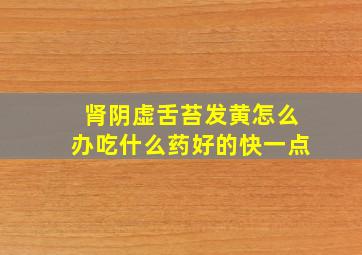 肾阴虚舌苔发黄怎么办吃什么药好的快一点