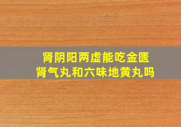 肾阴阳两虚能吃金匮肾气丸和六味地黄丸吗