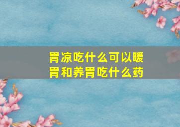 胃凉吃什么可以暖胃和养胃吃什么药