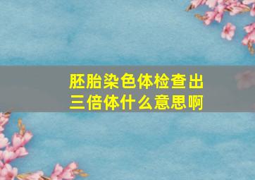 胚胎染色体检查出三倍体什么意思啊