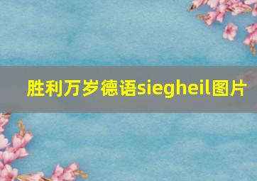 胜利万岁德语siegheil图片