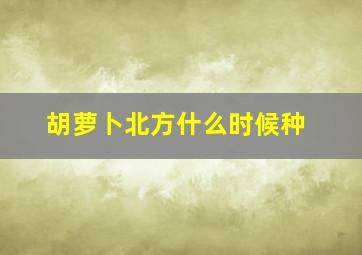 胡萝卜北方什么时候种