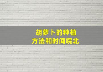 胡萝卜的种植方法和时间皖北