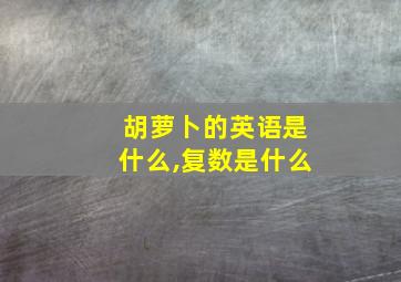 胡萝卜的英语是什么,复数是什么