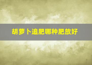 胡萝卜追肥哪种肥放好