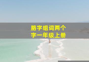 胳字组词两个字一年级上册