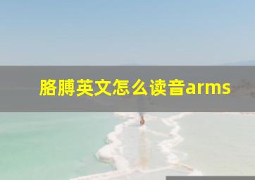 胳膊英文怎么读音arms