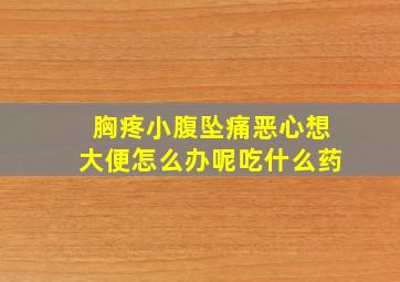 胸疼小腹坠痛恶心想大便怎么办呢吃什么药