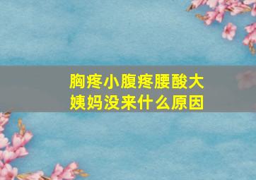 胸疼小腹疼腰酸大姨妈没来什么原因