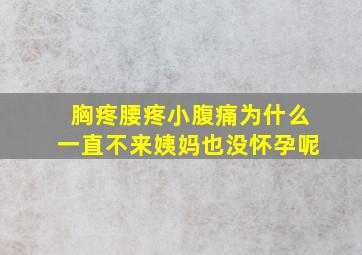 胸疼腰疼小腹痛为什么一直不来姨妈也没怀孕呢