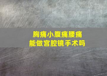 胸痛小腹痛腰痛能做宫腔镜手术吗