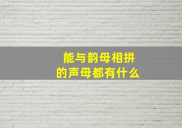 能与韵母相拼的声母都有什么