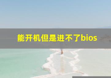 能开机但是进不了bios