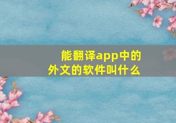 能翻译app中的外文的软件叫什么