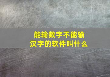 能输数字不能输汉字的软件叫什么