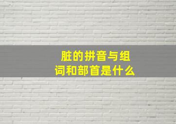 脏的拼音与组词和部首是什么