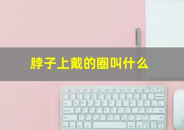 脖子上戴的圈叫什么