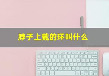 脖子上戴的环叫什么