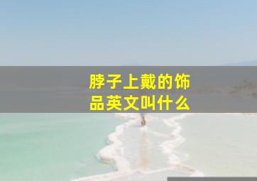 脖子上戴的饰品英文叫什么