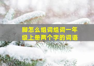 脚怎么组词组词一年级上册两个字的词语