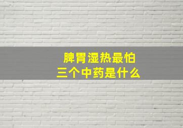 脾胃湿热最怕三个中药是什么