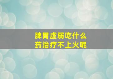 脾胃虚弱吃什么药治疗不上火呢