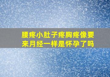 腰疼小肚子疼胸疼像要来月经一样是怀孕了吗