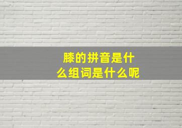 膝的拼音是什么组词是什么呢