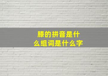 膝的拼音是什么组词是什么字