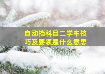 自动挡科目二学车技巧及要领是什么意思