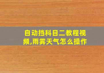 自动挡科目二教程视频,雨雾天气怎么操作