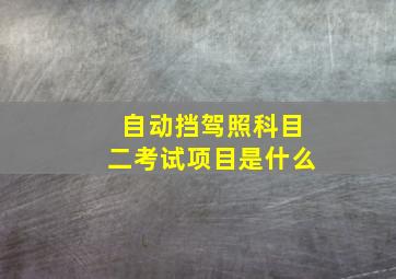 自动挡驾照科目二考试项目是什么