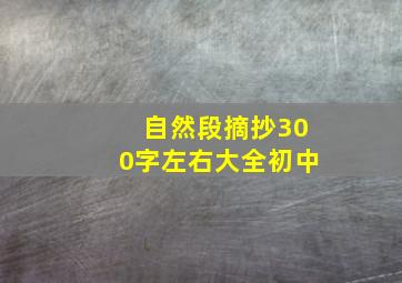 自然段摘抄300字左右大全初中