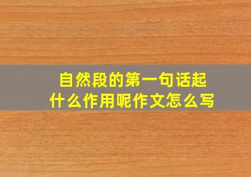 自然段的第一句话起什么作用呢作文怎么写