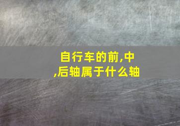 自行车的前,中,后轴属于什么轴