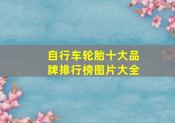 自行车轮胎十大品牌排行榜图片大全