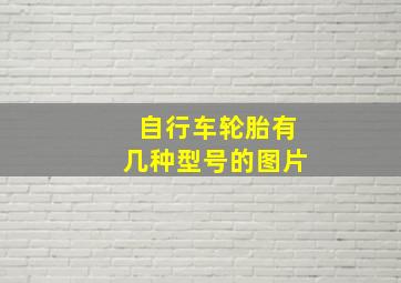 自行车轮胎有几种型号的图片