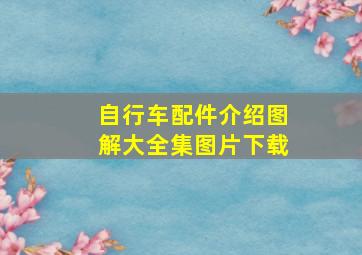 自行车配件介绍图解大全集图片下载