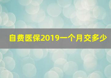 自费医保2019一个月交多少